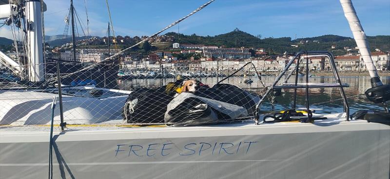 ARC Portugal -  Bayona - FreeSpirit photo copyright World Cruising Club taken at  and featuring the Cruising Yacht class