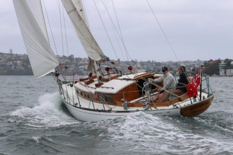 Cheoy Lee Robb 35 Marco Polo on Sydney Harbour - photo © Southern Woodenboat Sailing