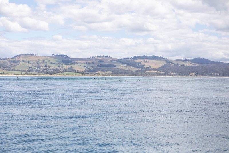 Surfing the Marion Bay narrows - photo © Mark Chew