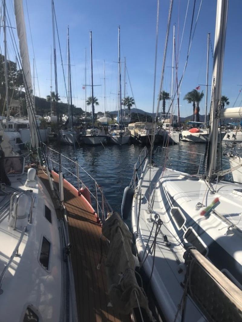 Marina life tied to the dock - photo © SV Red Roo