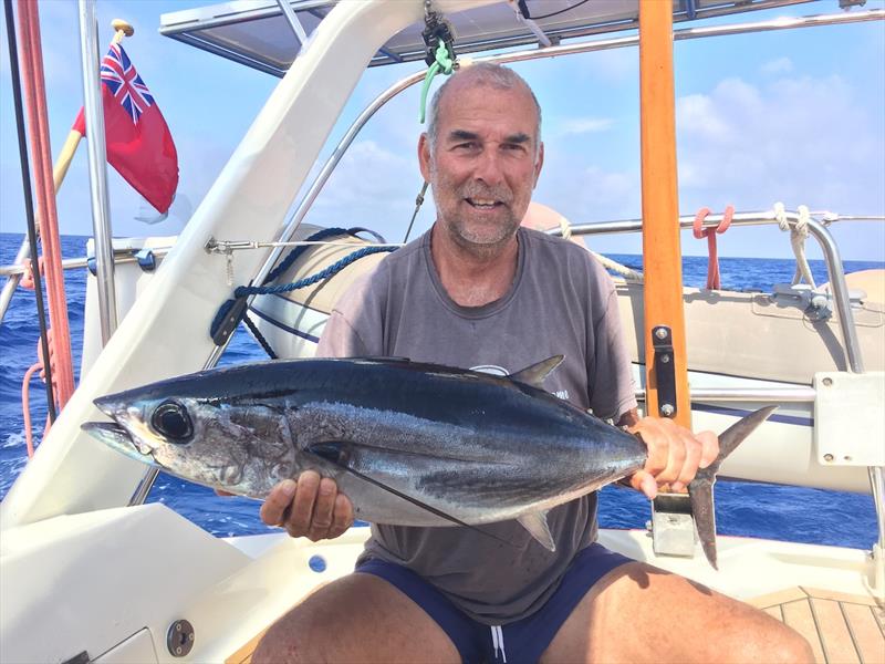 `our` 8 kg Albacore Tuna photo copyright SV Red Roo taken at  and featuring the Cruising Yacht class
