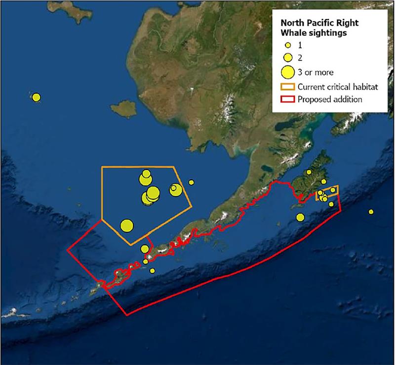 Map showing current North Pacific right whale critical habitat (gold line) and requested addition to critical habitat (red line - photo © NOAA Fisheries