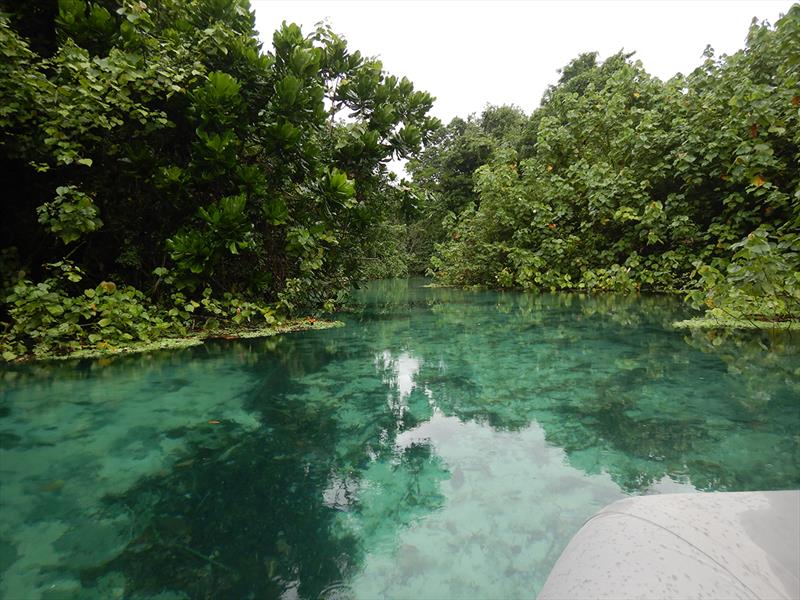 Entrance to Forest River photo copyright Freedom and Adventure taken at  and featuring the Cruising Yacht class