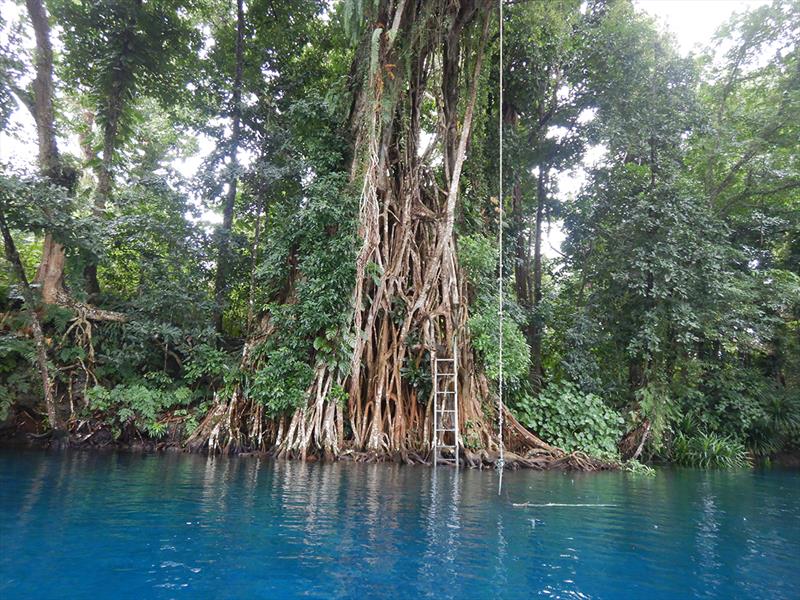 The Blue Hole on Nalaiafu River - photo © Freedom and Adventure