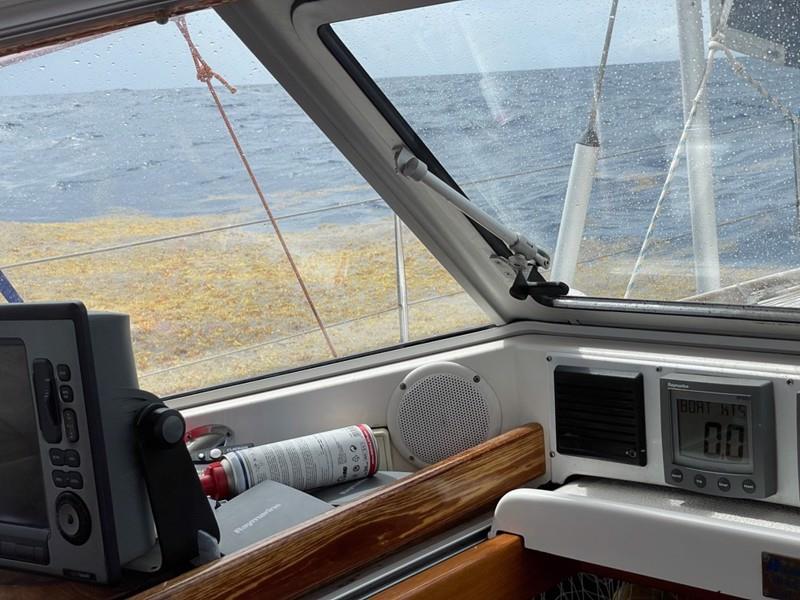 Huge mats of Sargassum the size of football pitches brings s/v Copepod to a standstill in the middle of the Atlantic photo copyright Dr Howard Dryden taken at  and featuring the Cruising Yacht class