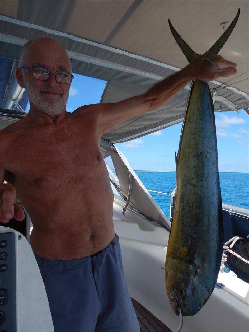 Our Mahi Mahi - photo © Andrew and Clare Payne / Freedom and Adventure