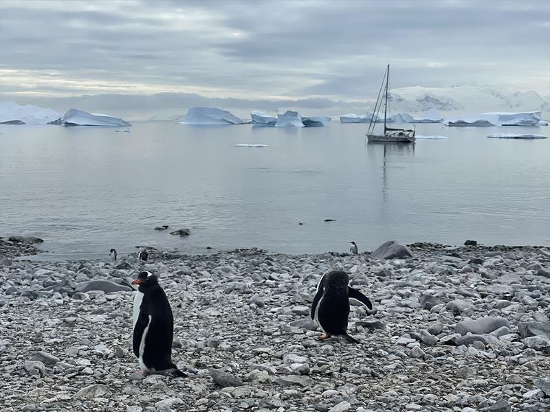 Yalour Islands, Antarctica. January 2022. Megan awaiting the return of a landing party to see the Adelaide penguins - photo © SV Zephyros