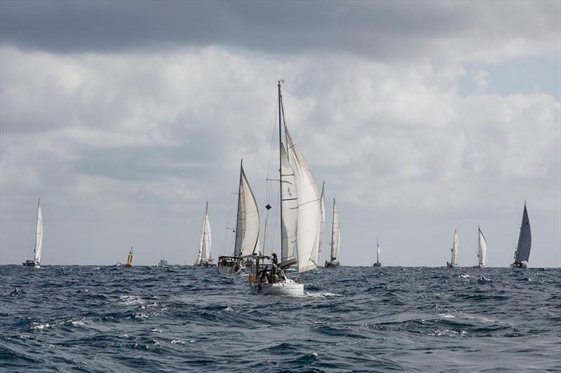 ARC January boats making progress