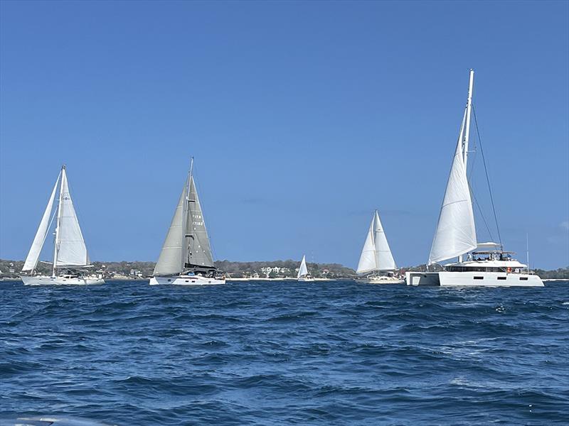 2023-24 World ARC photo copyright World Cruising Club taken at  and featuring the Cruising Yacht class