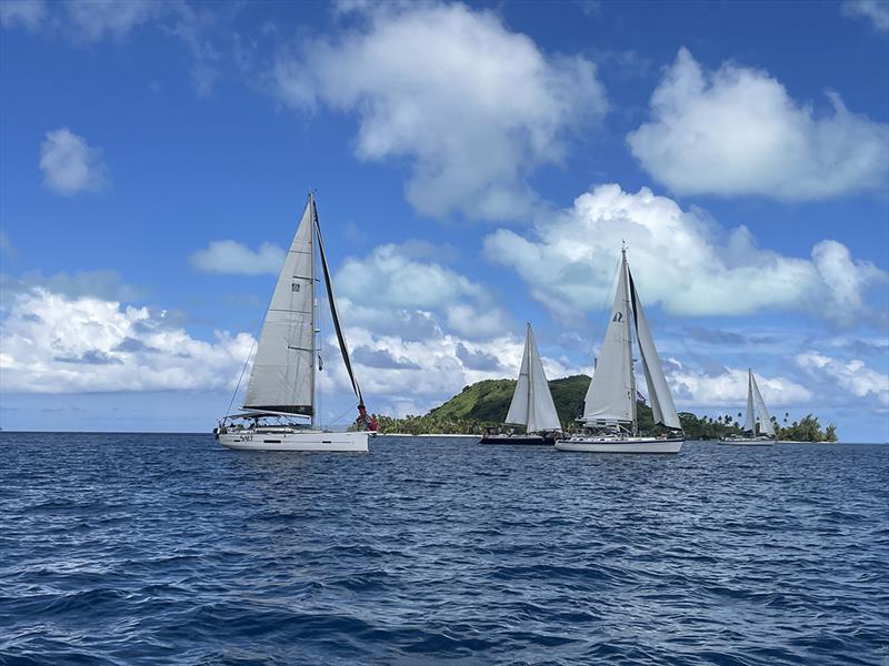 World ARC 2023-24 photo copyright World Cruising Club taken at  and featuring the Cruising Yacht class