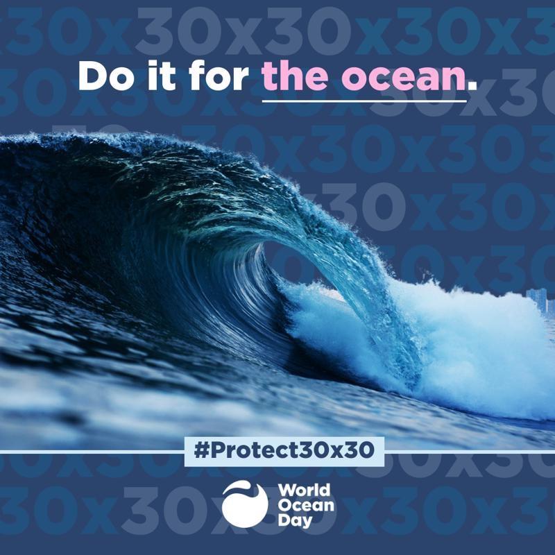World Ocean Day photo copyright World Ocean Day taken at Ocean Cruising Club and featuring the Cruising Yacht class