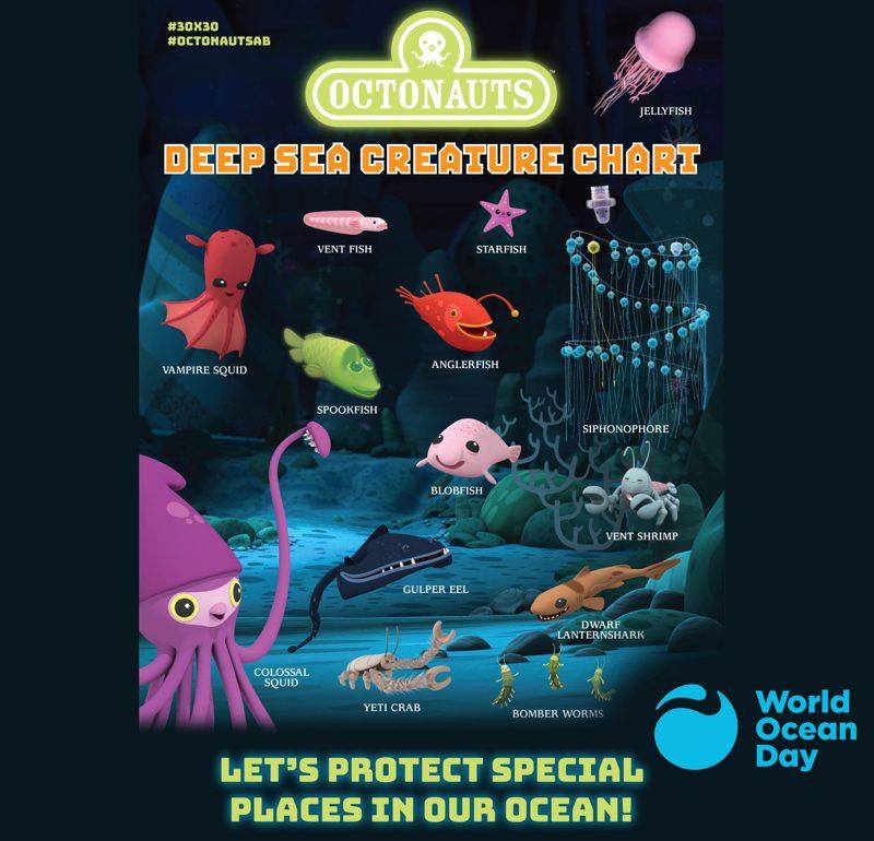 World Ocean Day photo copyright World Ocean Day taken at Ocean Cruising Club and featuring the Cruising Yacht class