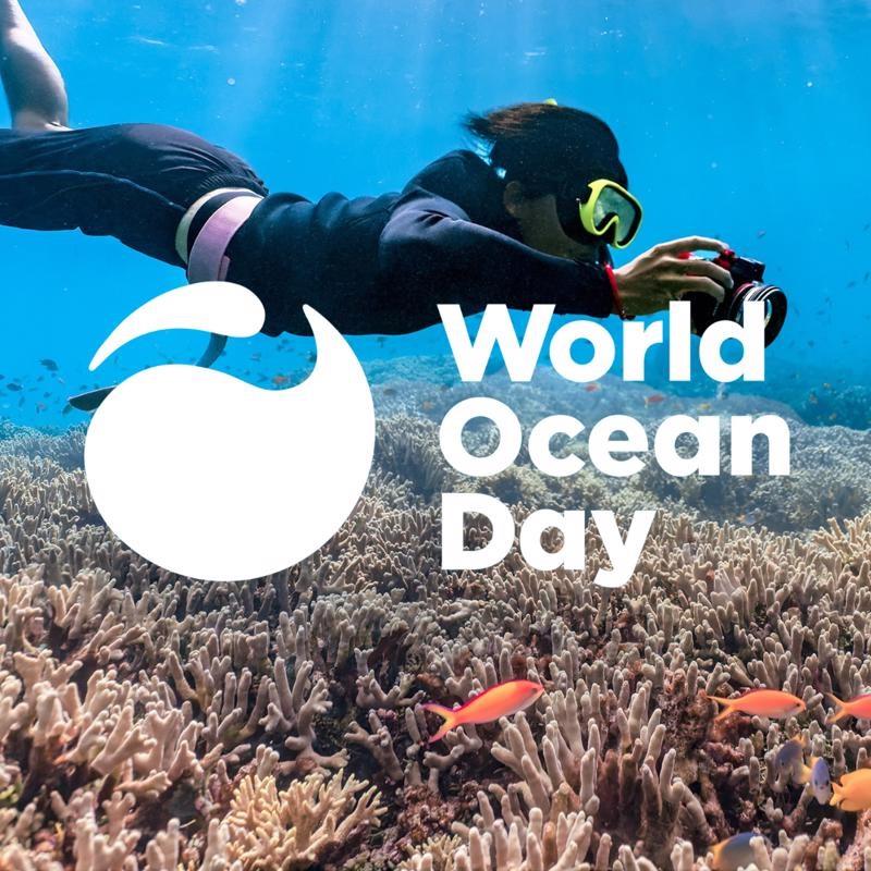 World Ocean Day photo copyright World Ocean Day taken at  and featuring the Cruising Yacht class