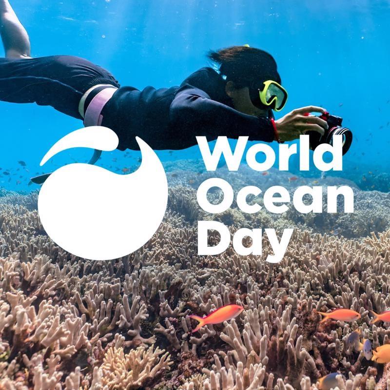 World Ocean Day photo copyright World Ocean Day taken at Ocean Cruising Club and featuring the Cruising Yacht class