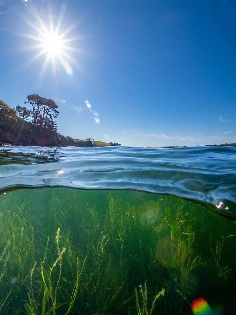 Global seagrass campaign, #ProtectOurBeds photo copyright Clean Sailors taken at  and featuring the Cruising Yacht class