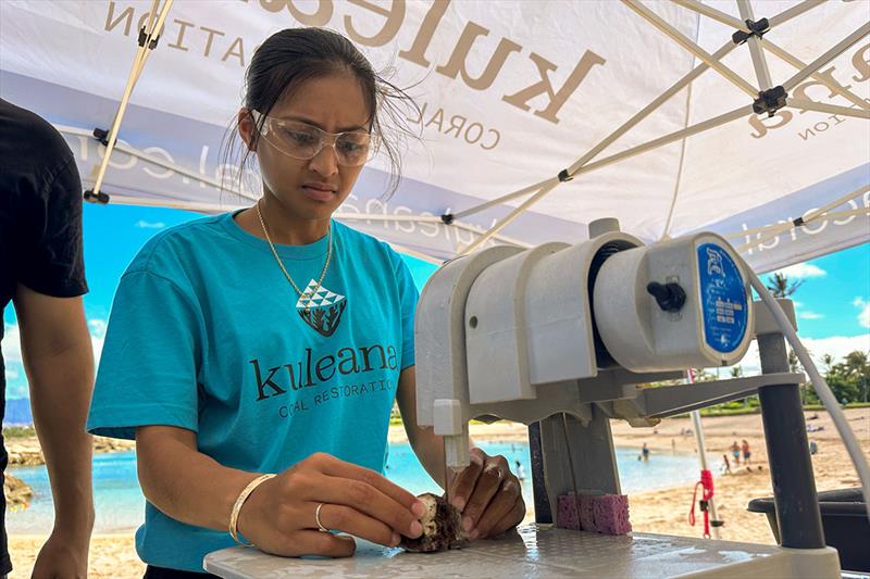 COAST participant Aaliya Weilbacher using a bandsaw to fragment coral (Porites lobata) to be attached to a fish habitat module at an educational outreach event. This is a propagation technique that stimulates coral growth - photo © Blake Nowack / Kuleana Coral Reefs