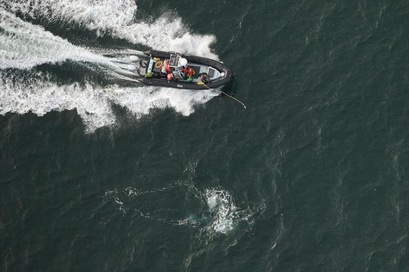 Responders from GADNR attempt to grapple the gear from an entangled North Atlantic right whale on Jan 11, 2021. Grapples are specialized equipment that allow responders to retrieve trailing entangling gear from a distance - photo © Georgia DNR; NOAA Permit No. 18786