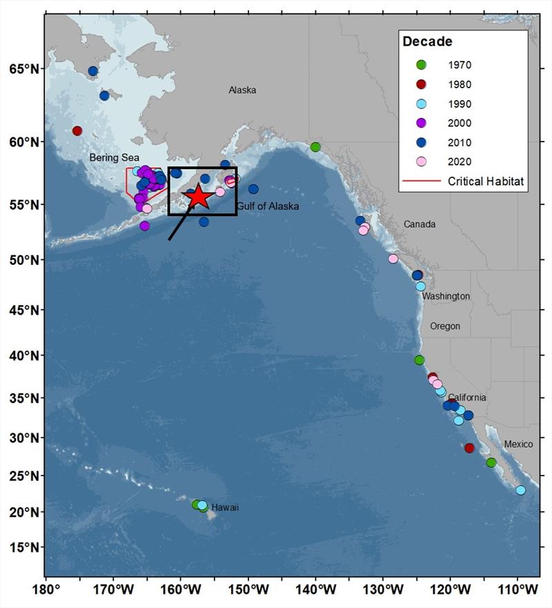 Locations of all eastern North Pacific right whale sightings by decade since 1970. On average only a few whales are seen each year. The 2023 sightings location is represented by the red star photo copyright NOAA Fisheries taken at  and featuring the Cruising Yacht class
