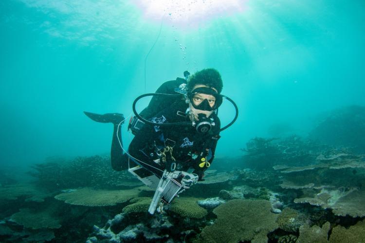 The National Coral Reef Monitoring Program depends on highly trained divers to conduct fish surveys across the Pacific - photo © NOAA Fisheries / Jeff Milisen