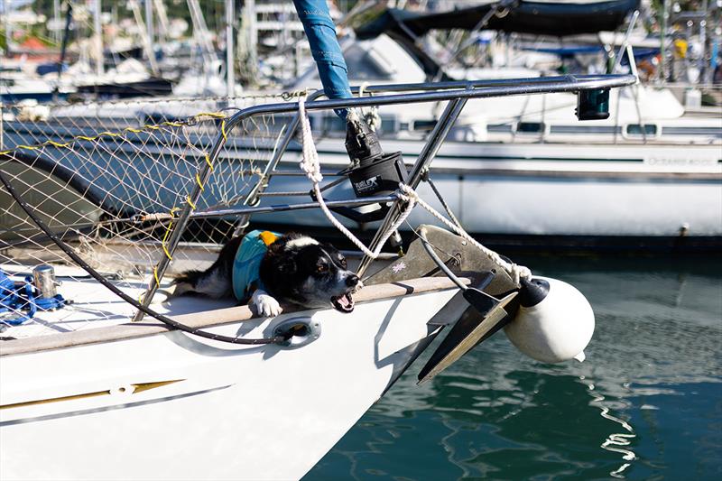 2023 ARC Plus - Topaz Rival - photo © Arthur Daniel