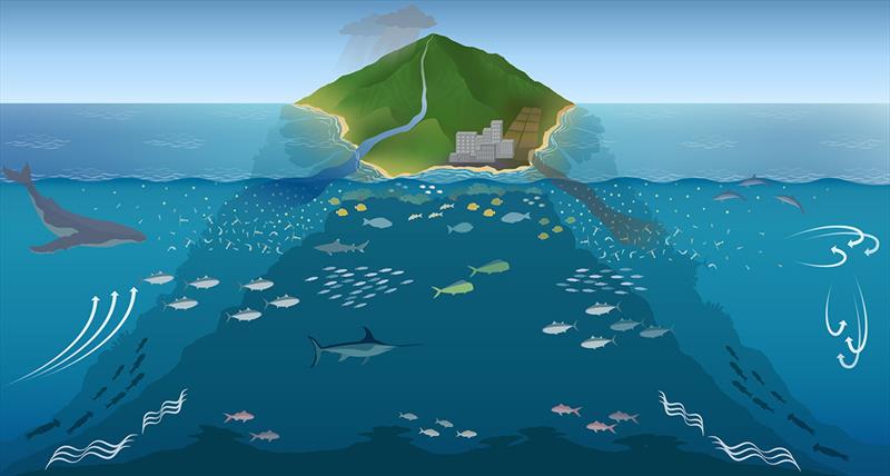 This illustration highlights the importance of phytoplankton near tropical islands to overall ecosystem health - photo © NOAA Fisheries