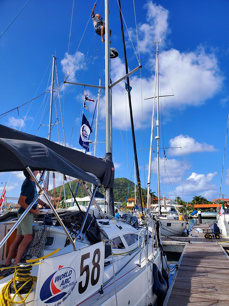 Skippers of the future set sail on harbour