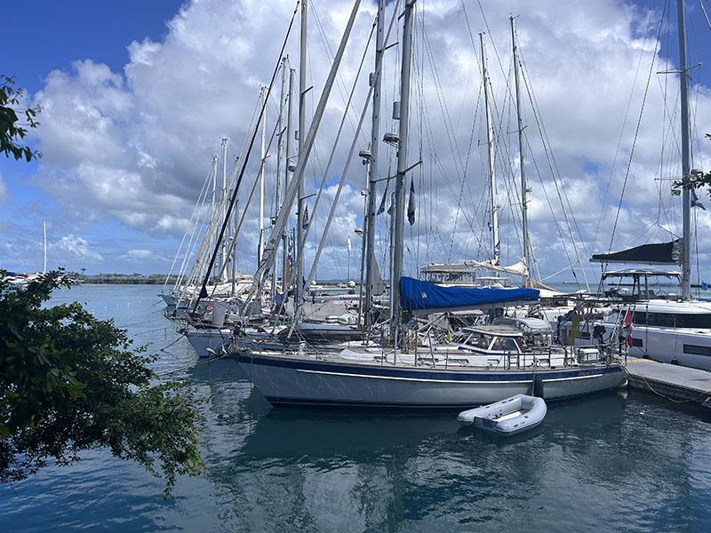 World ARC 2023-24 in Salvador! - photo © World Cruising Club