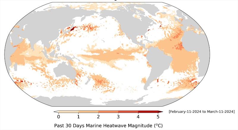 Observed marine heatwave conditions for March 2024. Colors show the relative intensity of the marine heatwave based on differences from average sea surface temperatures - photo © NOAA Physical Sciences Laboratory