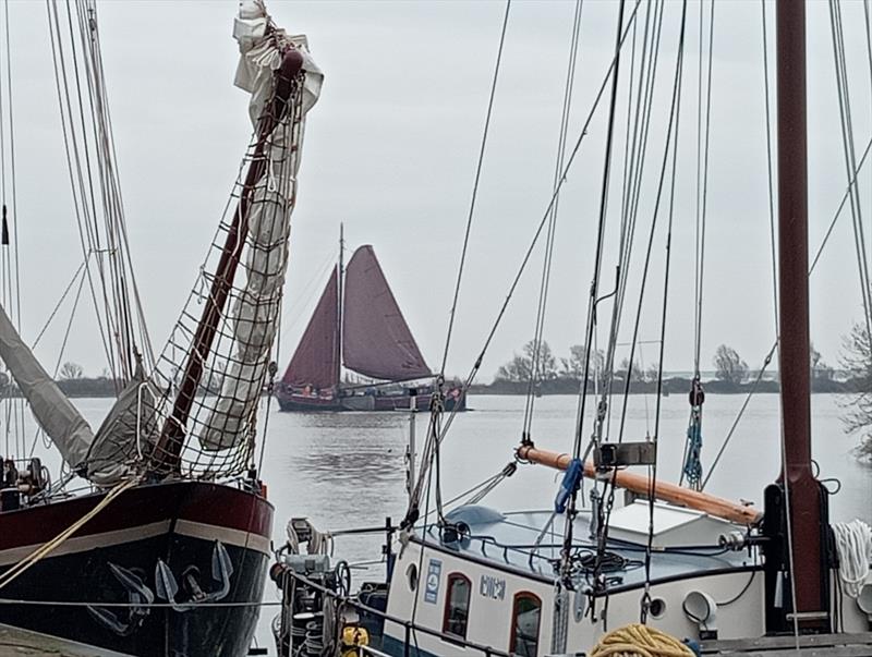 Skipper Brown Fleet photo copyright immaterieelerfgoed.nl taken at  and featuring the Cruising Yacht class