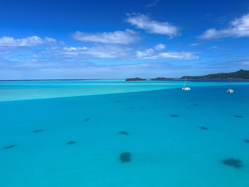 World ARC 2024-25 - photo © World Cruising Club