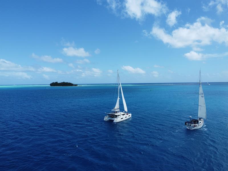 World ARC 2024-25 - photo © World Cruising Club
