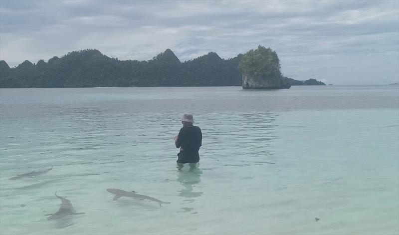 Raja Ampat archipelago - photo © Island Cruising NZ