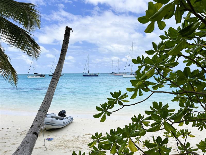 World ARC 2024-25 photo copyright World Cruising Club taken at  and featuring the Cruising Yacht class