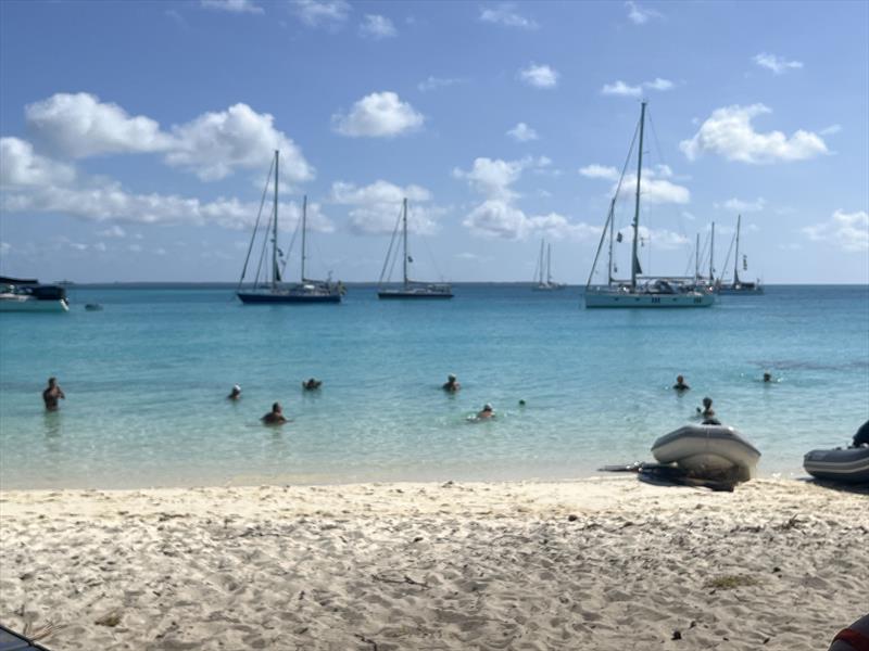 World ARC 2024-25 photo copyright World Cruising Club taken at  and featuring the Cruising Yacht class