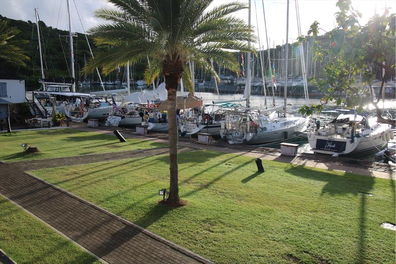2025 Salty Dawg Caribbean Rally Webinar - photo © Salty Dawg Sailing Association