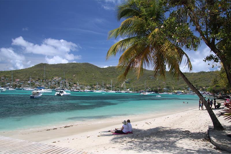 2025 Salty Dawg Caribbean Rally Webinar - photo © Salty Dawg Sailing Association