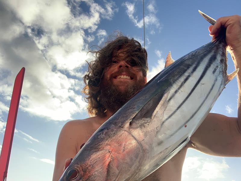 Dan's catch – a Skipjack tuna off the coast of Fiji, time for fresh sashimi photo copyright Dan Turner taken at  and featuring the Cruising Yacht class