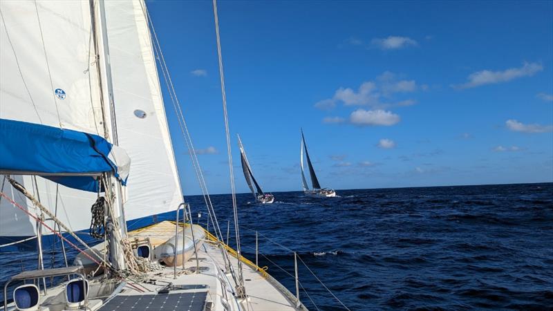 View from Serenity by Denise Warren photo copyright Three Sheets Regatta taken at  and featuring the Cruising Yacht class