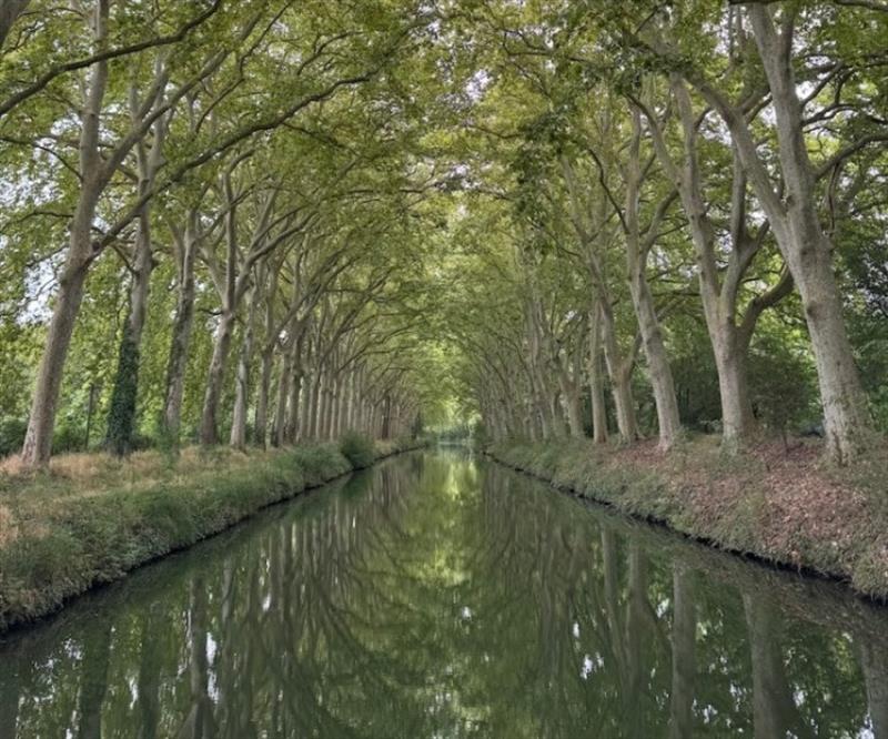 Canal du Rhône à Sète - photo © SV Red Roo