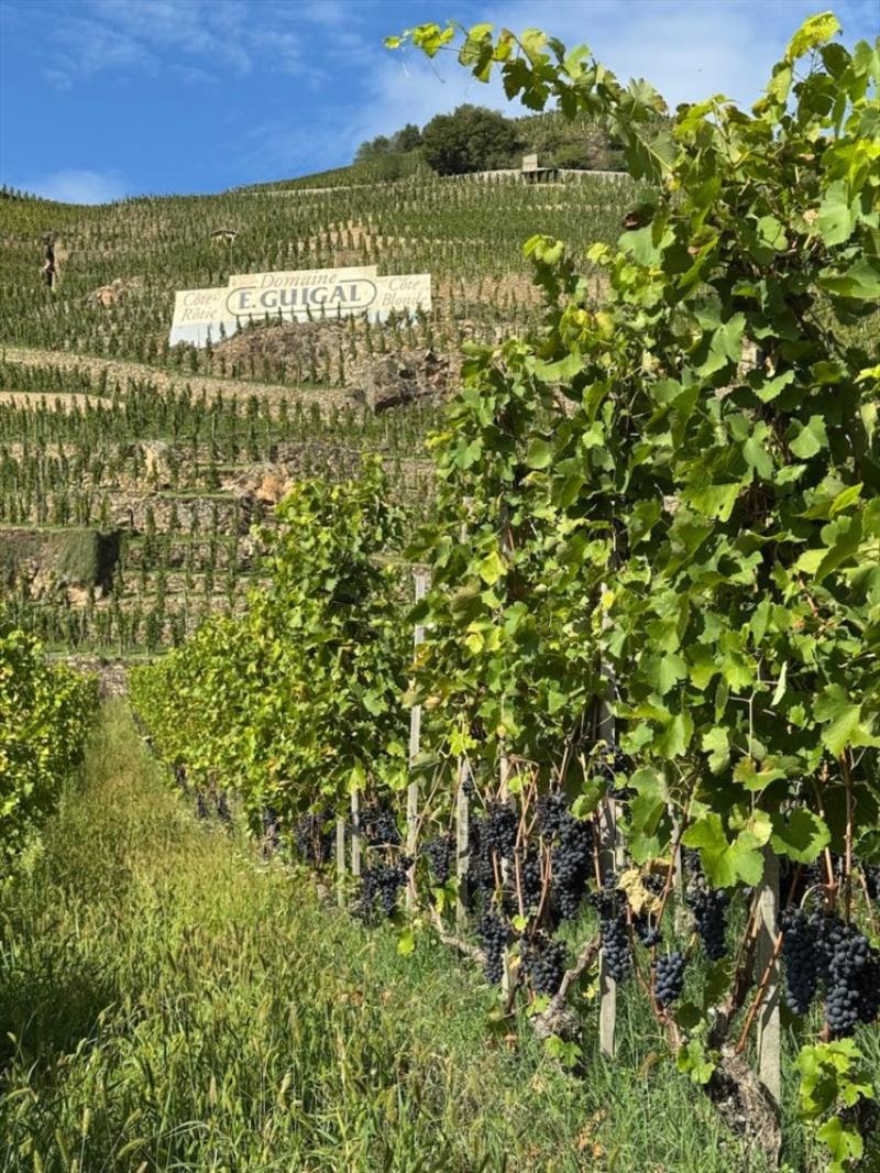 Rhône River - photo © SV Red Roo