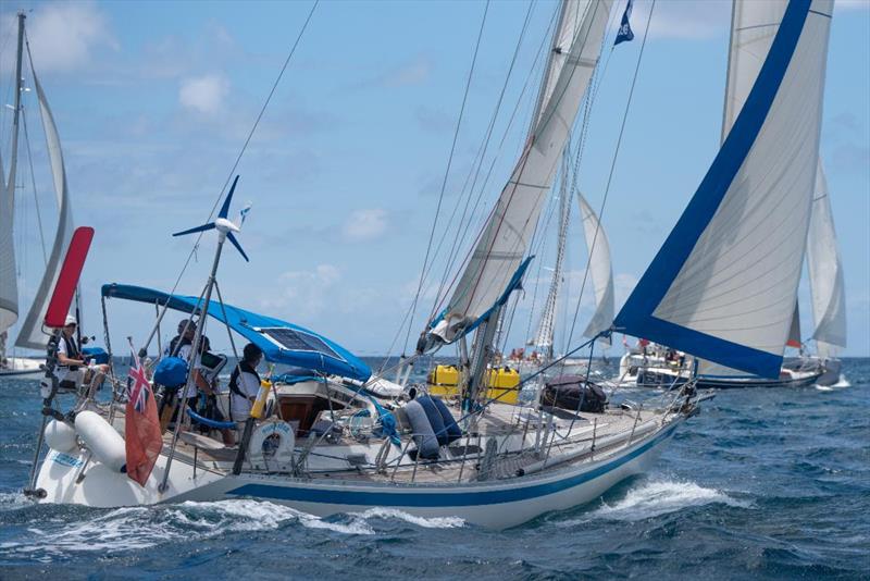 Start of ARC Europe 2026 in Sint Maarten - photo © Gaby Eman