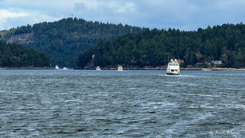 Dodd Narrows, L to R True Grit, Evenstar (Fleming), Kali, and Impulse photo copyright Kevin Morris taken at  and featuring the Cruising Yacht class