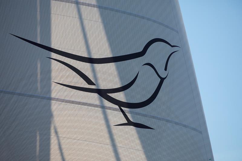 Ouzel flies her own Ouzel logo on the Code Zero downwind sail during sea trials photo copyright Billy Black taken at  and featuring the Cruising Yacht class
