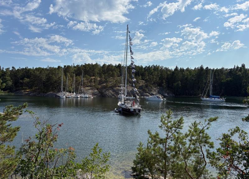 ARC Baltic - photo © World Cruising Club
