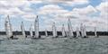 Dart 15 Southern Championship at Tankerton © Glen London