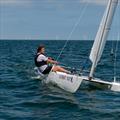 Dart 15 Southern Championship at Tankerton © Glen London
