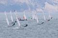 Dart 15 Sport Nationals 2025 at Shanklin © Mary Howie-Wood