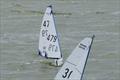 Adrian Tomlinson's A rig sailing away from Rob Owens' B rig in marginal conditions - DF95 Summer Series event 3 at Barton's Point © Alan Houndsell