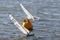 DF95 Summer Series event 6 at Barton's Point © Alan Hounsell
