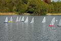 DF95 Eastern District Series Round 1 at Norwich Model Yacht Club &copy; NMYC